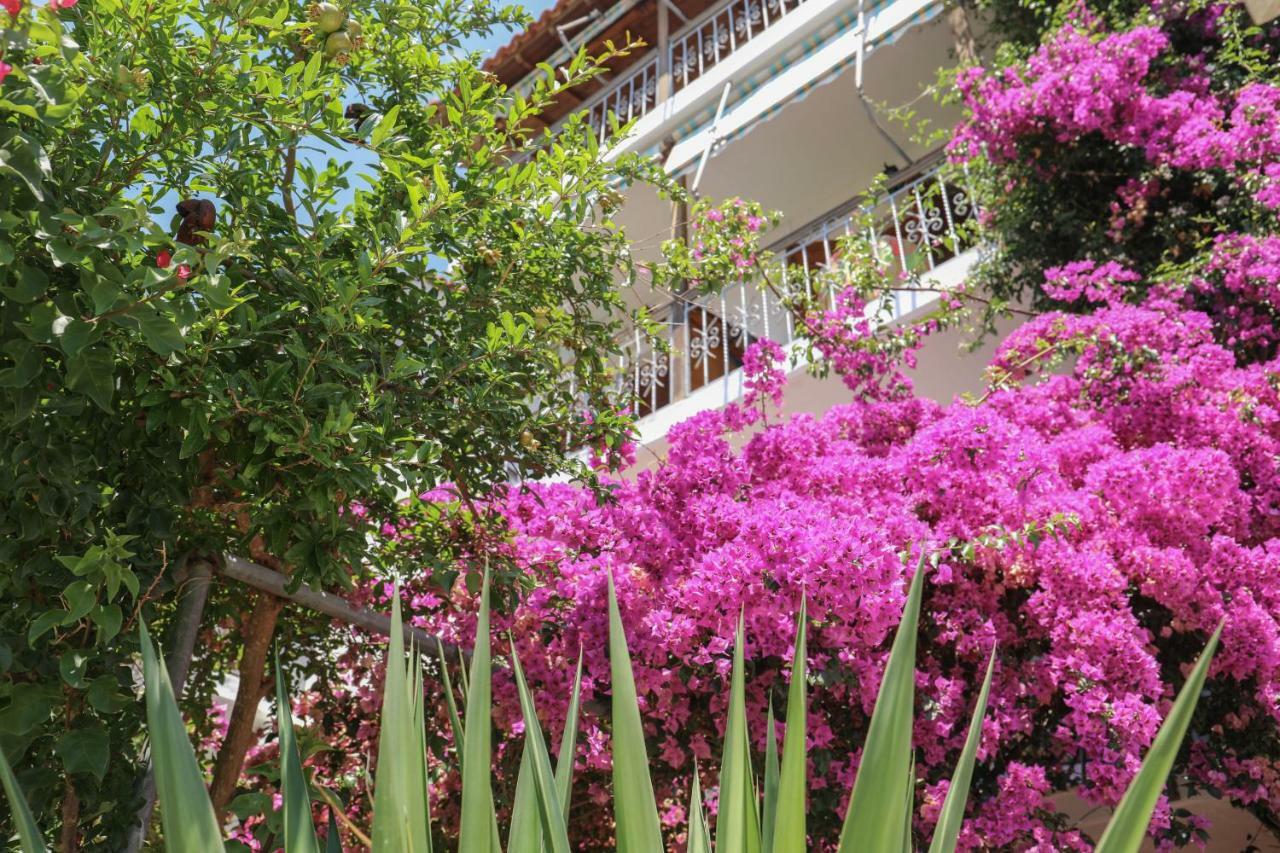 Vaya Zorba Studios Skiathos Town Exterior photo
